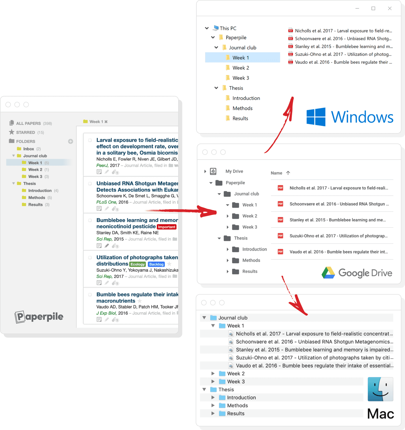 Sync Paperpile's folder structure in Windows, Mac and Google Drive on the web